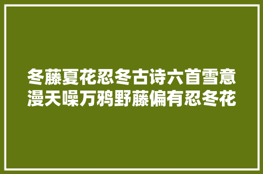 冬藤夏花忍冬古诗六首雪意漫天噪万鸦野藤偏有忍冬花