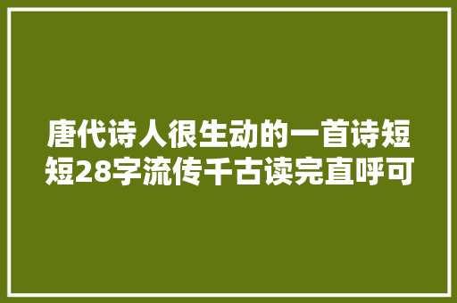唐代诗人很生动的一首诗短短28字流传千古读完直呼可爱
