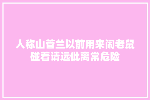 人称山菅兰以前用来闹老鼠碰着请远仳离常危险