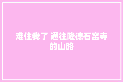 难住我了 通往隆德石窑寺的山路 难住我了 通往隆德石窑寺的山路