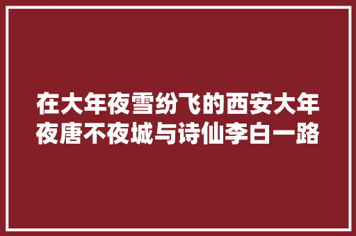 在大年夜雪纷飞的西安大年夜唐不夜城与诗仙李白一路朗诵将进酒