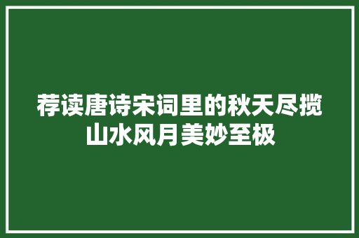荐读唐诗宋词里的秋天尽揽山水风月美妙至极