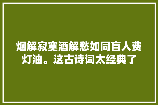 烟解寂寞酒解愁如同盲人费灯油。这古诗词太经典了