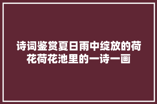 诗词鉴赏夏日雨中绽放的荷花荷花池里的一诗一画