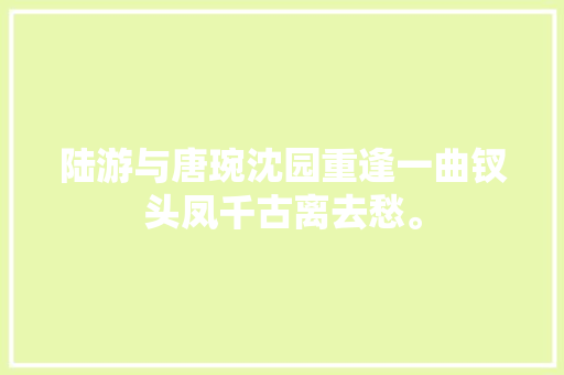 陆游与唐琬沈园重逢一曲钗头凤千古离去愁。