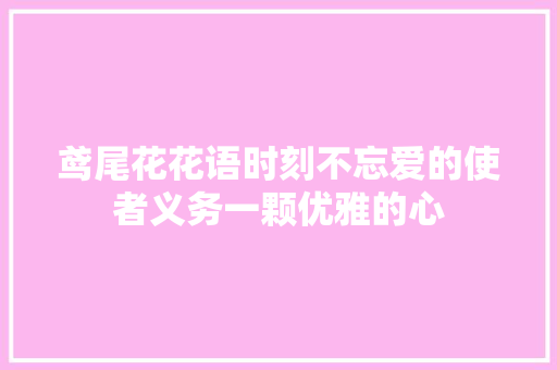 鸢尾花花语时刻不忘爱的使者义务一颗优雅的心 鸢尾花花语时刻不忘爱的使者义务一颗优雅的心