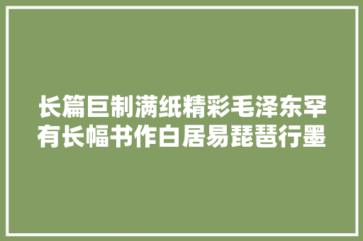 长篇巨制满纸精彩毛泽东罕有长幅书作白居易琵琶行墨迹赏