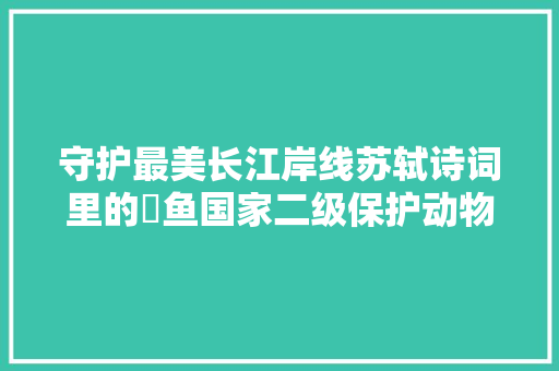 守护最美长江岸线苏轼诗词里的鮰鱼国家二级保护动物胭脂鱼带着责任入江
