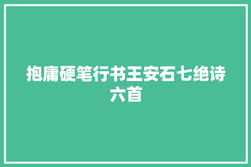 抱庸硬笔行书王安石七绝诗六首