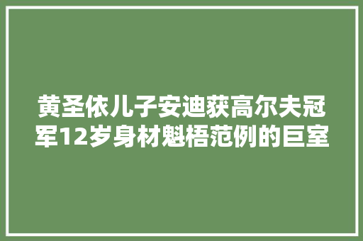 黄圣依儿子安迪获高尔夫冠军12岁身材魁梧范例的巨室公子哥 黄圣依儿子安迪获高尔夫冠军12岁身材魁梧范例的巨室公子哥