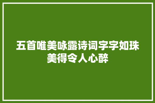 五首唯美咏露诗词字字如珠美得令人心醉