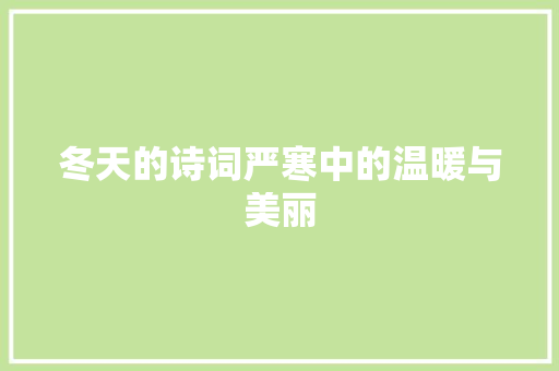冬天的诗词严寒中的温暖与美丽