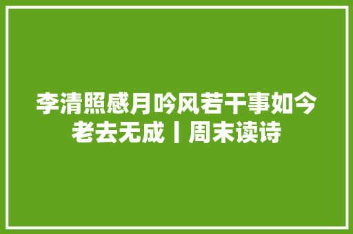 李清照感月吟风若干事如今老去无成丨周末读诗