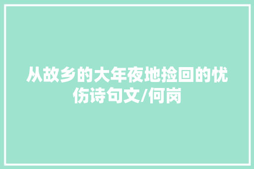 从故乡的大年夜地捡回的忧伤诗句文/何岗 从故乡的大年夜地捡回的忧伤诗句文/何岗