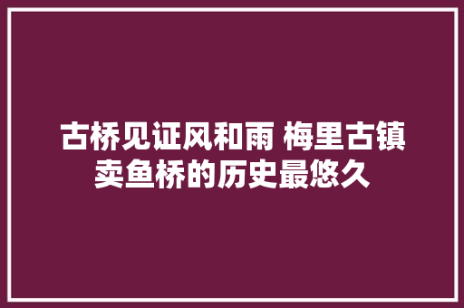 古桥见证风和雨 梅里古镇卖鱼桥的历史最悠久 古桥见证风和雨 梅里古镇卖鱼桥的历史最悠久