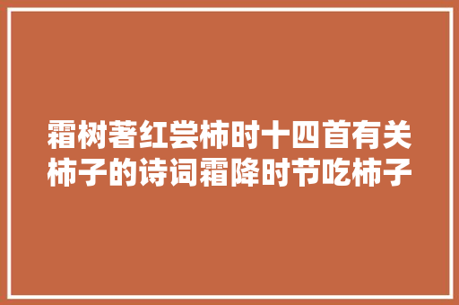 霜树著红尝柿时十四首有关柿子的诗词霜降时节吃柿子