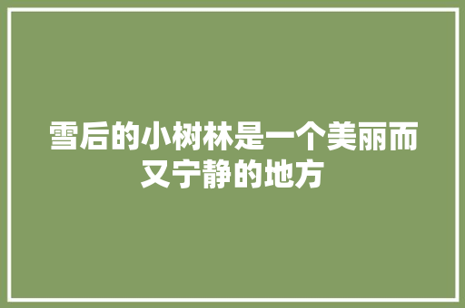 雪后的小树林是一个美丽而又宁静的地方