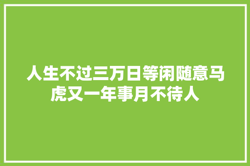 人生不过三万日等闲随意马虎又一年事月不待人