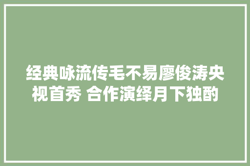 经典咏流传毛不易廖俊涛央视首秀 合作演绎月下独酌