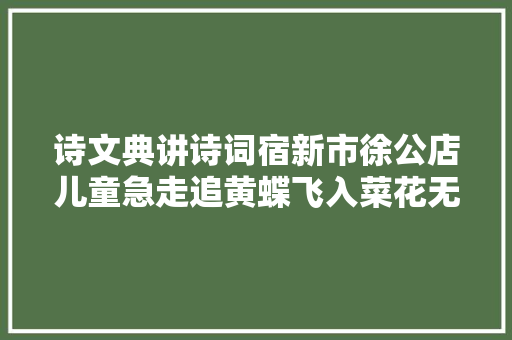 诗文典讲诗词宿新市徐公店儿童急走追黄蝶飞入菜花无处寻