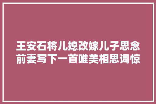 王安石将儿媳改嫁儿子思念前妻写下一首唯美相思词惊艳千年