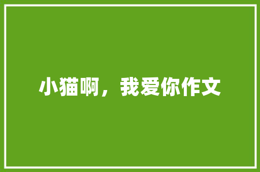 读悯农春种一粒粟有感