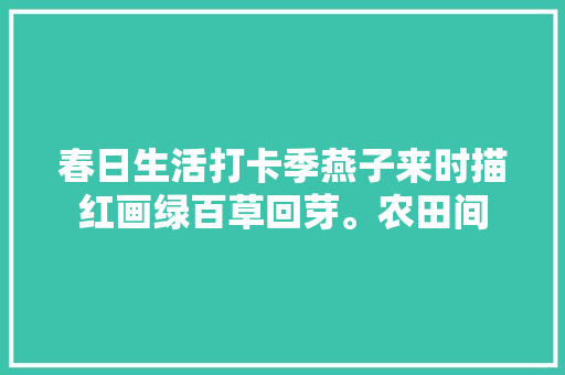 春日生活打卡季燕子来时描红画绿百草回芽。农田间