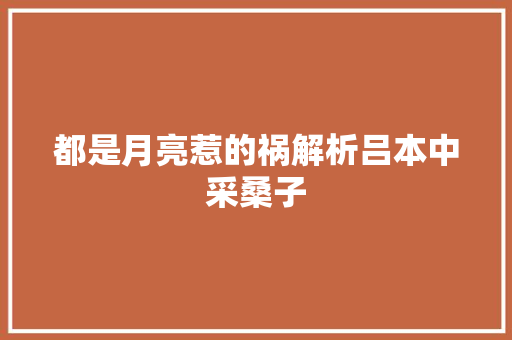 都是月亮惹的祸解析吕本中采桑子