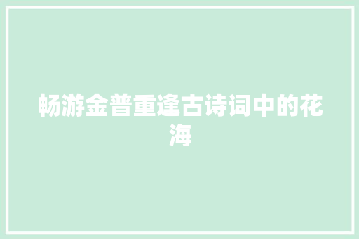 畅游金普重逢古诗词中的花海