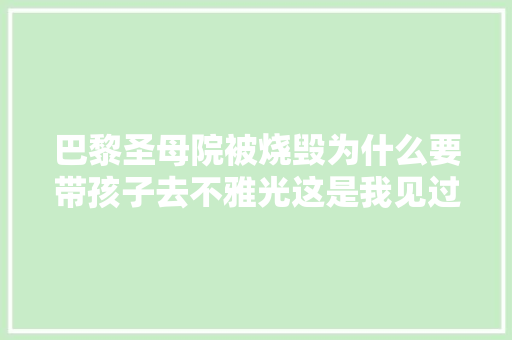 巴黎圣母院被烧毁为什么要带孩子去不雅光这是我见过最好的谜底