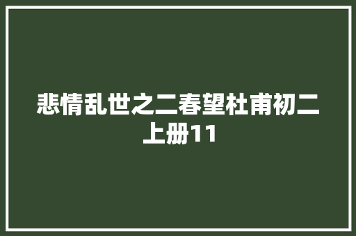 悲情乱世之二春望杜甫初二上册11