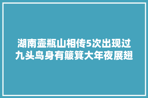 湖南壶瓶山相传5次出现过九头鸟身有簸箕大年夜展翅2米长