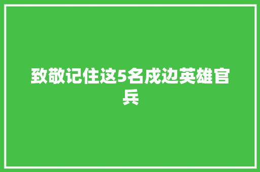 致敬记住这5名戍边英雄官兵