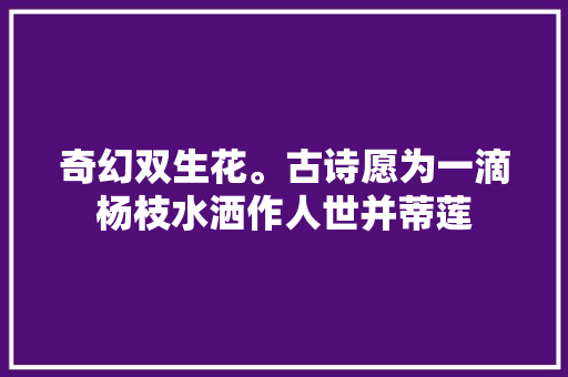 奇幻双生花。古诗愿为一滴杨枝水洒作人世并蒂莲