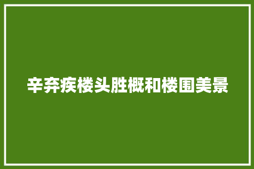 辛弃疾楼头胜概和楼围美景