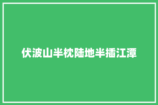 伏波山半枕陆地半插江潭