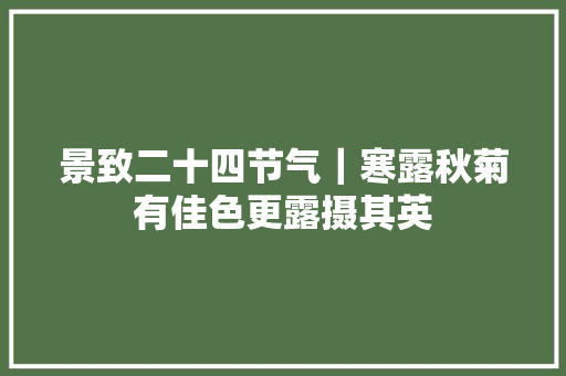 景致二十四节气｜寒露秋菊有佳色更露摄其英
