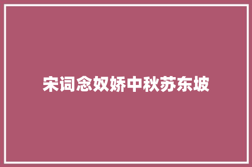 宋词念奴娇中秋苏东坡