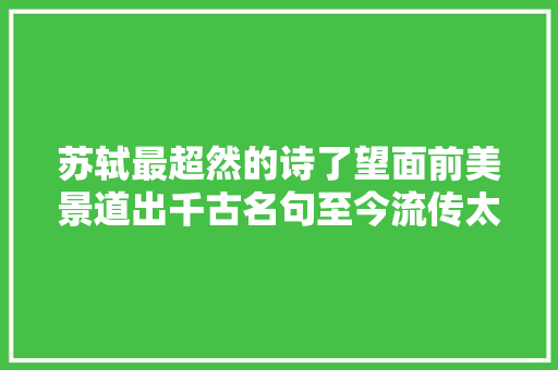 苏轼最超然的诗了望面前美景道出千古名句至今流传太经典