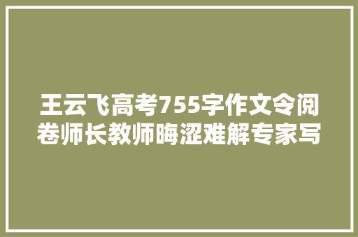 王云飞高考755字作文令阅卷师长教师晦涩难解专家写4页文稿批注