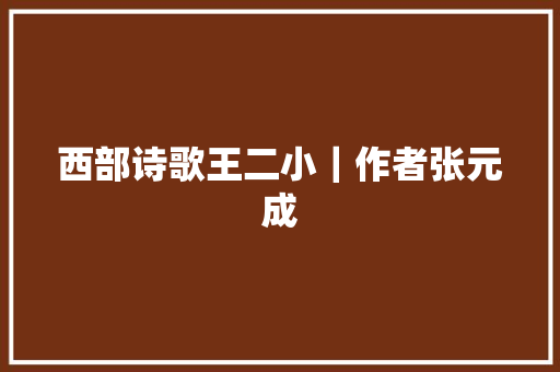 西部诗歌王二小｜作者张元成