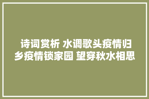  诗词赏析 水调歌头疫情归乡疫情锁家园 望穿秋水相思泪