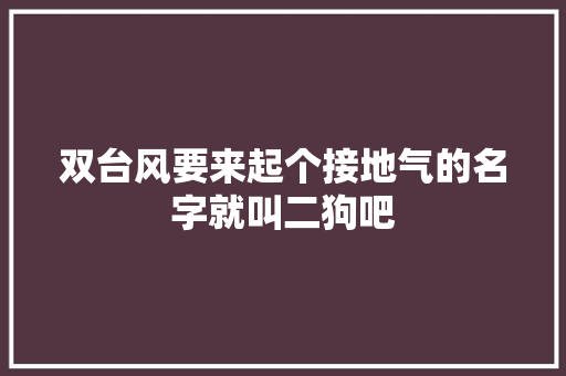双台风要来起个接地气的名字就叫二狗吧