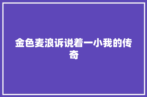 金色麦浪诉说着一小我的传奇