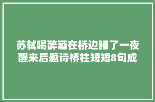 苏轼喝醉酒在桥边睡了一夜醒来后题诗桥柱短短8句成千古名篇