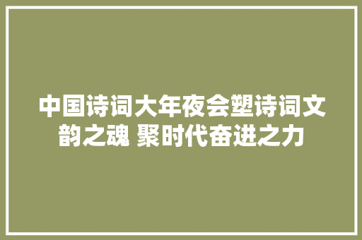 中国诗词大年夜会塑诗词文韵之魂 聚时代奋进之力