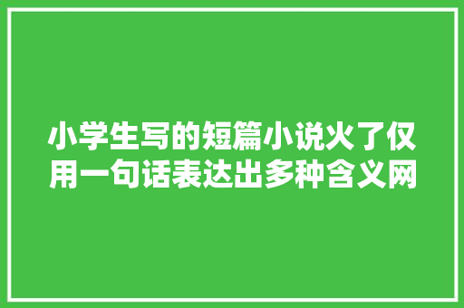小学生写的短篇小说火了仅用一句话表达出多种含义网友有才