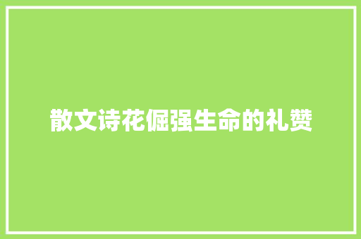 散文诗花倔强生命的礼赞