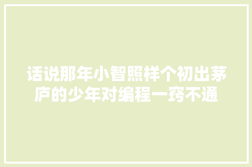 话说那年小智照样个初出茅庐的少年对编程一窍不通