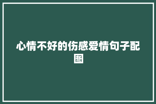 心情不好的伤感爱情句子配图